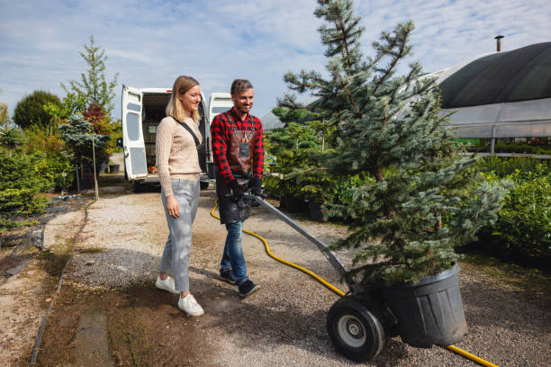 Best Tree Disease Treatment  in Luxemburg, WI